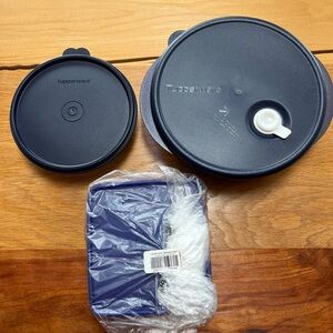 NEW 3 Tupperware 670 Square Sandwich Keeper & MICROWAVE Divided & Clear Blue